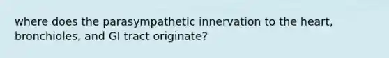 where does the parasympathetic innervation to the heart, bronchioles, and GI tract originate?