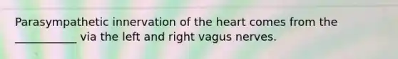 Parasympathetic innervation of the heart comes from the ___________ via the left and right vagus nerves.