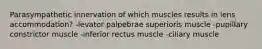 Parasympathetic innervation of which muscles results in lens accommodation? -levator palpebrae superioris muscle -pupillary constrictor muscle -inferior rectus muscle -ciliary muscle