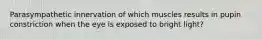 Parasympathetic innervation of which muscles results in pupin constriction when the eye is exposed to bright light?