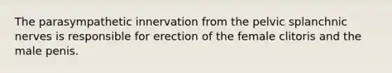 The parasympathetic innervation from the pelvic splanchnic nerves is responsible for erection of the female clitoris and the male penis.