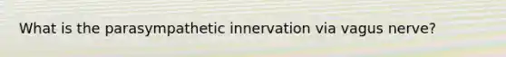 What is the parasympathetic innervation via vagus nerve?