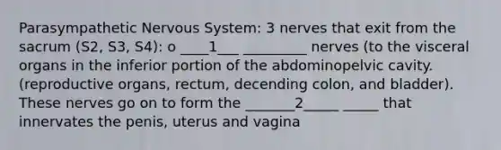 Parasympathetic Nervous System: 3 nerves that exit from the sacrum (S2, S3, S4): o ____1___ _________ nerves (to the visceral organs in the inferior portion of the abdominopelvic cavity. (reproductive organs, rectum, decending colon, and bladder). These nerves go on to form the _______2_____ _____ that innervates the penis, uterus and vagina