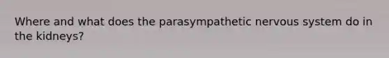 Where and what does the parasympathetic nervous system do in the kidneys?