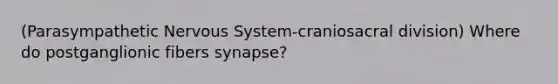 (Parasympathetic Nervous System-craniosacral division) Where do postganglionic fibers synapse?