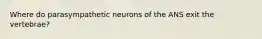 Where do parasympathetic neurons of the ANS exit the vertebrae?