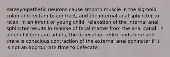 Parasympathetic neurons cause smooth muscle in the sigmoid colon and rectum to contract, and the internal anal sphincter to relax. In an infant or young child, relaxation of the internal anal sphincter results in release of fecal matter from the anal canal. In older children and adults, the defecation reflex ends here and there is conscious contraction of the external anal sphincter if it is not an appropriate time to defecate.