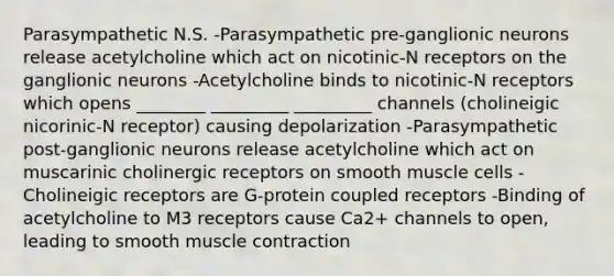 Parasympathetic N.S. -Parasympathetic pre-ganglionic neurons release acetylcholine which act on nicotinic-N receptors on the ganglionic neurons -Acetylcholine binds to nicotinic-N receptors which opens ________ _________ _________ channels (cholineigic nicorinic-N receptor) causing depolarization -Parasympathetic post-ganglionic neurons release acetylcholine which act on muscarinic cholinergic receptors on smooth muscle cells -Cholineigic receptors are G-protein coupled receptors -Binding of acetylcholine to M3 receptors cause Ca2+ channels to open, leading to smooth muscle contraction