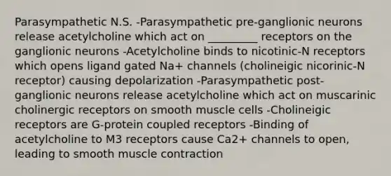 Parasympathetic N.S. -Parasympathetic pre-ganglionic neurons release acetylcholine which act on _________ receptors on the ganglionic neurons -Acetylcholine binds to nicotinic-N receptors which opens ligand gated Na+ channels (cholineigic nicorinic-N receptor) causing depolarization -Parasympathetic post-ganglionic neurons release acetylcholine which act on muscarinic cholinergic receptors on smooth muscle cells -Cholineigic receptors are G-protein coupled receptors -Binding of acetylcholine to M3 receptors cause Ca2+ channels to open, leading to smooth <a href='https://www.questionai.com/knowledge/k0LBwLeEer-muscle-contraction' class='anchor-knowledge'>muscle contraction</a>