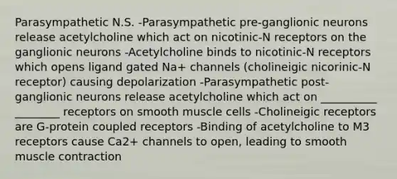 Parasympathetic N.S. -Parasympathetic pre-ganglionic neurons release acetylcholine which act on nicotinic-N receptors on the ganglionic neurons -Acetylcholine binds to nicotinic-N receptors which opens ligand gated Na+ channels (cholineigic nicorinic-N receptor) causing depolarization -Parasympathetic post-ganglionic neurons release acetylcholine which act on __________ ________ receptors on smooth muscle cells -Cholineigic receptors are G-protein coupled receptors -Binding of acetylcholine to M3 receptors cause Ca2+ channels to open, leading to smooth <a href='https://www.questionai.com/knowledge/k0LBwLeEer-muscle-contraction' class='anchor-knowledge'>muscle contraction</a>