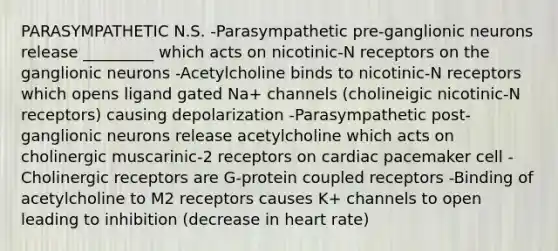 PARASYMPATHETIC N.S. -Parasympathetic pre-ganglionic neurons release _________ which acts on nicotinic-N receptors on the ganglionic neurons -Acetylcholine binds to nicotinic-N receptors which opens ligand gated Na+ channels (cholineigic nicotinic-N receptors) causing depolarization -Parasympathetic post-ganglionic neurons release acetylcholine which acts on cholinergic muscarinic-2 receptors on cardiac pacemaker cell -Cholinergic receptors are G-protein coupled receptors -Binding of acetylcholine to M2 receptors causes K+ channels to open leading to inhibition (decrease in heart rate)