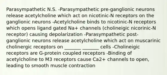 Parasympathetic N.S. -Parasympathetic pre-ganglionic neurons release acetylcholine which act on nicotinic-N receptors on the ganglionic neurons -Acetylcholine binds to nicotinic-N receptors which opens ligand gated Na+ channels (cholineigic nicorinic-N receptor) causing depolarization -Parasympathetic post-ganglionic neurons release acetylcholine which act on muscarinic cholinergic receptors on _______ _______ cells -Cholineigic receptors are G-protein coupled receptors -Binding of acetylcholine to M3 receptors cause Ca2+ channels to open, leading to smooth <a href='https://www.questionai.com/knowledge/k0LBwLeEer-muscle-contraction' class='anchor-knowledge'>muscle contraction</a>