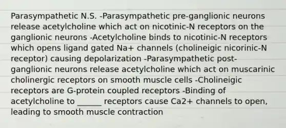 Parasympathetic N.S. -Parasympathetic pre-ganglionic neurons release acetylcholine which act on nicotinic-N receptors on the ganglionic neurons -Acetylcholine binds to nicotinic-N receptors which opens ligand gated Na+ channels (cholineigic nicorinic-N receptor) causing depolarization -Parasympathetic post-ganglionic neurons release acetylcholine which act on muscarinic cholinergic receptors on smooth muscle cells -Cholineigic receptors are G-protein coupled receptors -Binding of acetylcholine to ______ receptors cause Ca2+ channels to open, leading to smooth muscle contraction