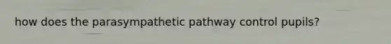 how does the parasympathetic pathway control pupils?