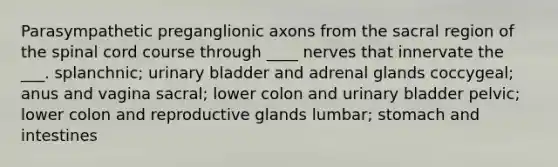 Parasympathetic preganglionic axons from the sacral region of the spinal cord course through ____ nerves that innervate the ___. splanchnic; urinary bladder and adrenal glands coccygeal; anus and vagina sacral; lower colon and urinary bladder pelvic; lower colon and reproductive glands lumbar; stomach and intestines