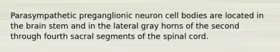 Parasympathetic preganglionic neuron cell bodies are located in the brain stem and in the lateral gray horns of the second through fourth sacral segments of the spinal cord.