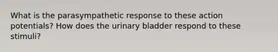 What is the parasympathetic response to these action potentials? How does the <a href='https://www.questionai.com/knowledge/kb9SdfFdD9-urinary-bladder' class='anchor-knowledge'>urinary bladder</a> respond to these stimuli?