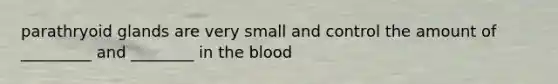 parathryoid glands are very small and control the amount of _________ and ________ in the blood