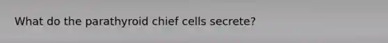 What do the parathyroid chief cells secrete?