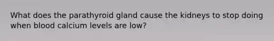 What does the parathyroid gland cause the kidneys to stop doing when blood calcium levels are low?