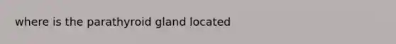 where is the parathyroid gland located