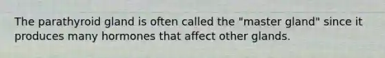 The parathyroid gland is often called the "master gland" since it produces many hormones that affect other glands.