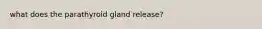 what does the parathyroid gland release?