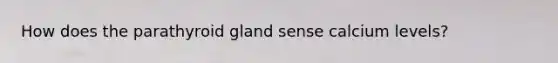 How does the parathyroid gland sense calcium levels?