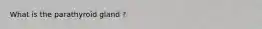 What is the parathyroid gland ?
