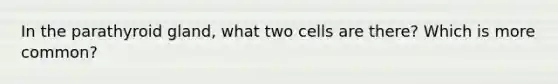 In the parathyroid gland, what two cells are there? Which is more common?