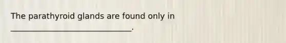 The parathyroid glands are found only in ______________________________.