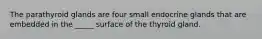 The parathyroid glands are four small endocrine glands that are embedded in the _____ surface of the thyroid gland.