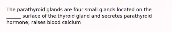 The parathyroid glands are four small glands located on the ______ surface of the thyroid gland and secretes parathyroid hormone; raises blood calcium