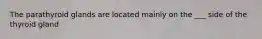 The parathyroid glands are located mainly on the ___ side of the thyroid gland
