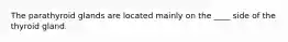The parathyroid glands are located mainly on the ____ side of the thyroid gland.