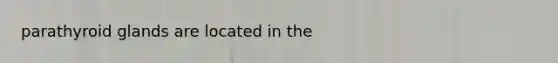 parathyroid glands are located in the