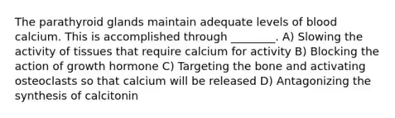 The parathyroid glands maintain adequate levels of blood calcium. This is accomplished through ________. A) Slowing the activity of tissues that require calcium for activity B) Blocking the action of growth hormone C) Targeting the bone and activating osteoclasts so that calcium will be released D) Antagonizing the synthesis of calcitonin