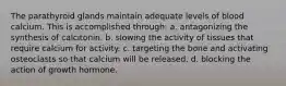 The parathyroid glands maintain adequate levels of blood calcium. This is accomplished through: a. antagonizing the synthesis of calcitonin. b. slowing the activity of tissues that require calcium for activity. c. targeting the bone and activating osteoclasts so that calcium will be released. d. blocking the action of growth hormone.