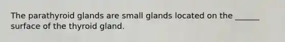 The parathyroid glands are small glands located on the ______ surface of the thyroid gland.