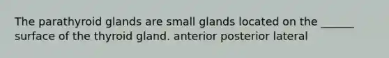 The parathyroid glands are small glands located on the ______ surface of the thyroid gland. anterior posterior lateral