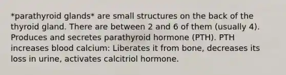 *parathyroid glands* are small structures on the back of the thyroid gland. There are between 2 and 6 of them (usually 4). Produces and secretes parathyroid hormone (PTH). PTH increases blood calcium: Liberates it from bone, decreases its loss in urine, activates calcitriol hormone.