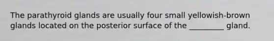 The parathyroid glands are usually four small yellowish-brown glands located on the posterior surface of the _________ gland.