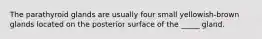 The parathyroid glands are usually four small yellowish-brown glands located on the posterior surface of the _____ gland.