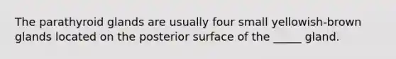 The parathyroid glands are usually four small yellowish-brown glands located on the posterior surface of the _____ gland.