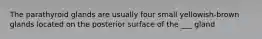 The parathyroid glands are usually four small yellowish-brown glands located on the posterior surface of the ___ gland