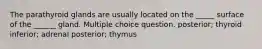 The parathyroid glands are usually located on the _____ surface of the ______ gland. Multiple choice question. posterior; thyroid inferior; adrenal posterior; thymus