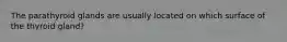 The parathyroid glands are usually located on which surface of the thyroid gland?