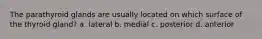 The parathyroid glands are usually located on which surface of the thyroid gland? a. lateral b. medial c. posterior d. anterior