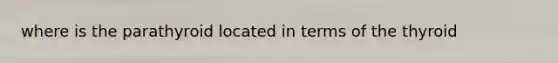 where is the parathyroid located in terms of the thyroid