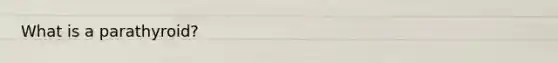 What is a parathyroid?